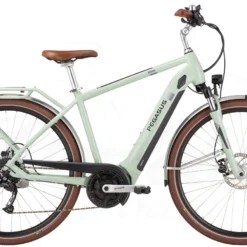 Pegasus Solero Evo 9 Special Edition Diamant Salbei 625Wh