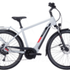 Pegasus Solero Evo 9 Diamant 625Wh Cool Grey -Rad Fluss Verkaufsgeschäft image 137
