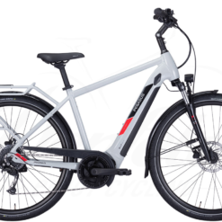 Pegasus Solero Evo 9 Diamant 625Wh Cool Grey