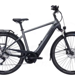 Pegasus Premio Evo 10 Lite Diamant 750Wh Black Chrome Matt/black Matt