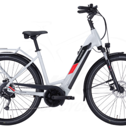 Pegasus Solero Evo 9 Tiefeinsteiger 625Wh Cool Grey