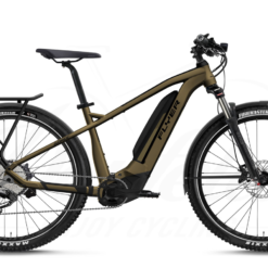 Flyer Goroc2 2.10 LE HT Brass/Black 750Wh