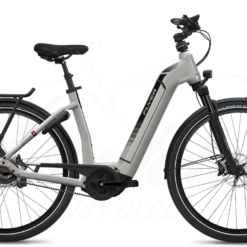 Flyer GoTour6 7.23 Wave Silver 625Wh