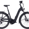 Pegasus Strong Evo 12 Lite Tiefeinsteiger 750Wh Black Matt -Rad Fluss Verkaufsgeschäft image 219