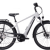 Pegasus Savino Evo 10 CX Diamant 625Wh Light Grey -Rad Fluss Verkaufsgeschäft image 228
