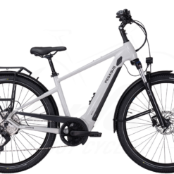 Pegasus Savino Evo 10 CX Diamant 625Wh Light Grey