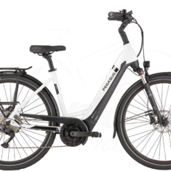 Pegasus Strong Evo 10K Tiefeinsteiger 625Wh Metallic Off White/black Matt