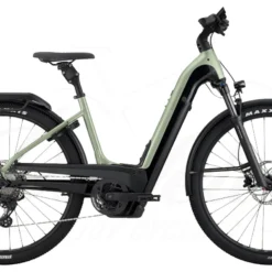 Cannondale Tesoro Neo X 1 Tiefeinsteiger 750Wh Agave