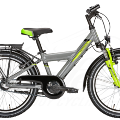 Pegasus Avanti 7 20 Zoll Moonwalk Grey