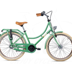 S'COOL ChiX Classic 24-3N Flowergreen