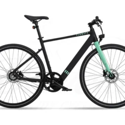 Tenways CGO600 Diamant 252Wh Black Green 2023